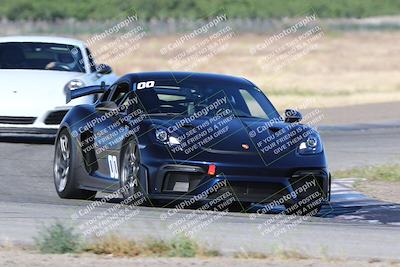 media/May-03-2024-PCA Central Coast (Fri) [[eaa7da0ee1]]/Yellow Group/Session 1 (Grapevine)/